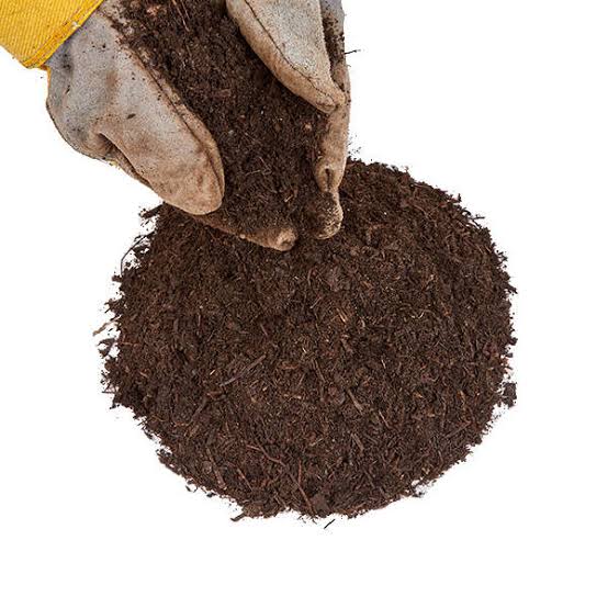 Dr.Megha Saxena Charged Biochar 1kg / Plain Biochar EcoChar Buy Biochar, Organic Fertilizer Online from Urban Plants