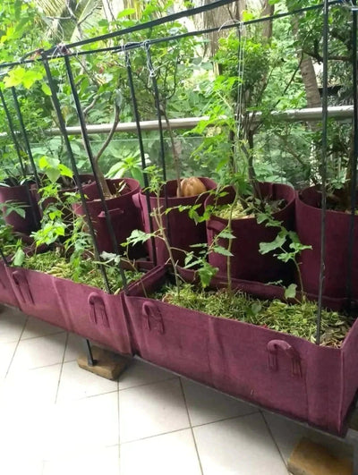 SaveEnviro Bags Fabrics Fabric Grow bags for vegetable Buy Fabric Grow bags for vegetable Online