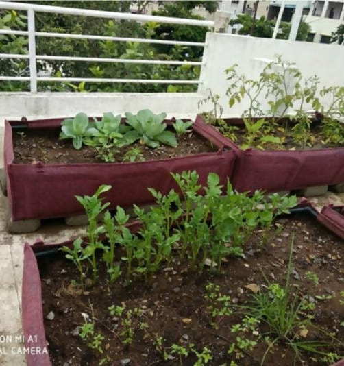 SaveEnviro Bags Fabrics Fabric Grow bags for vegetable Buy Fabric Grow bags for vegetable Online
