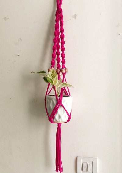 Seeds n bulbs Plant hangers Planter Hanger Buy Plant Hanger Online In Delhi