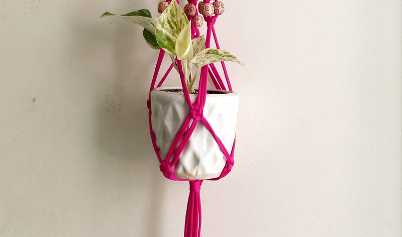 Seeds n bulbs Plant hangers Planter Hanger Buy Plant Hanger Online In Delhi