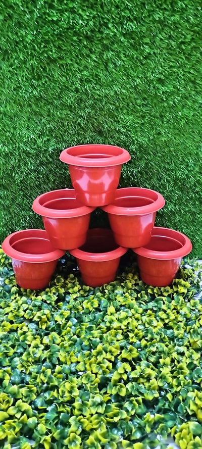 shivsai traders pots and planters coller pot 6 inches pack pf 6 coller pot 6 inches pack pf 6-Urban Plants