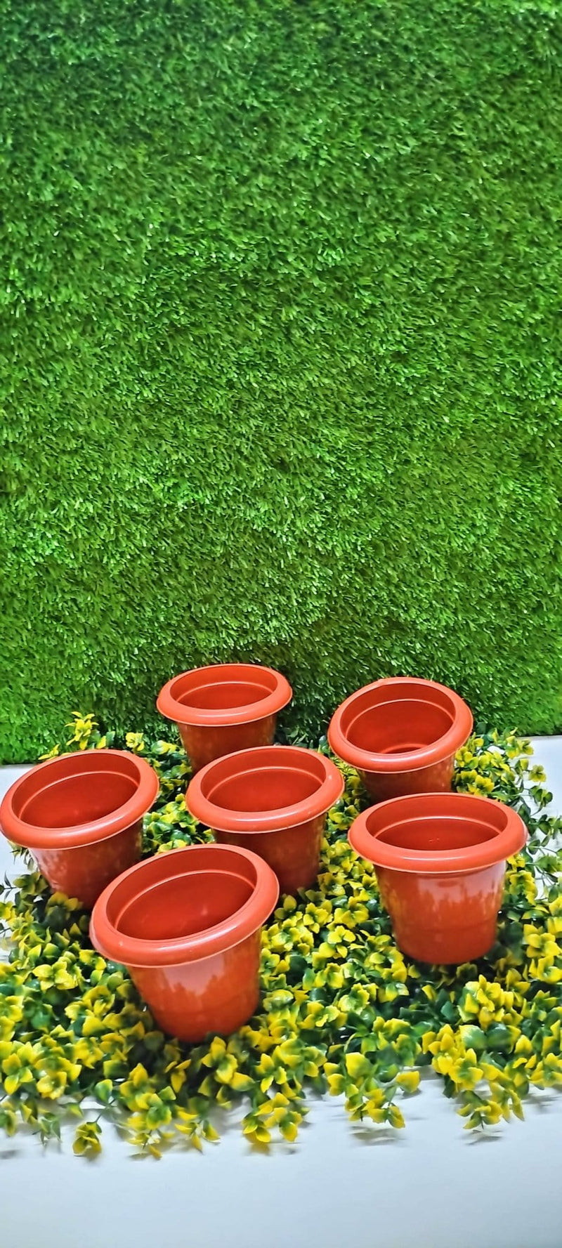 shivsai traders pots and planters coller pot 6 inches pack pf 6 coller pot 6 inches pack pf 6-Urban Plants