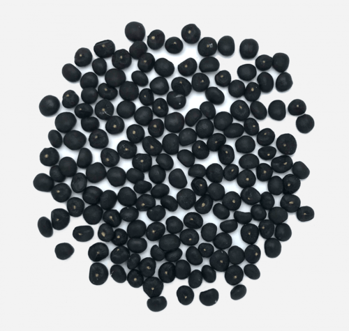 Urban Plants Asparagus seed Asparagus seed-Urban Plant
