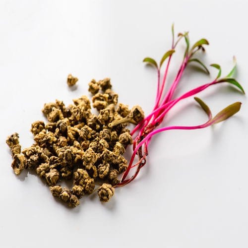 Urban Plants Beetroot seeds Beetroot seeds-Urban Plants