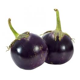 Urban Plants Brinjal seeds