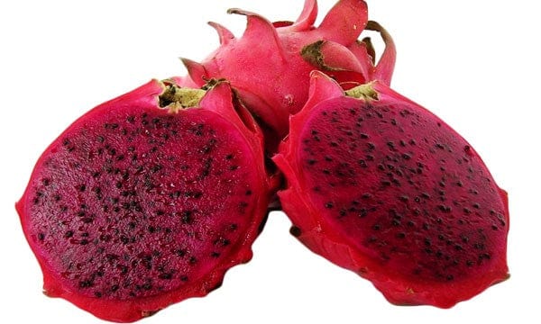 Urban Plants Buy Dragon Fruit Plant in 3 colors Buy Dragon Fruit Plant Online