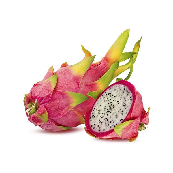 Urban Plants Buy Dragon Fruit Plant in 3 colors Buy Dragon Fruit Plant Online
