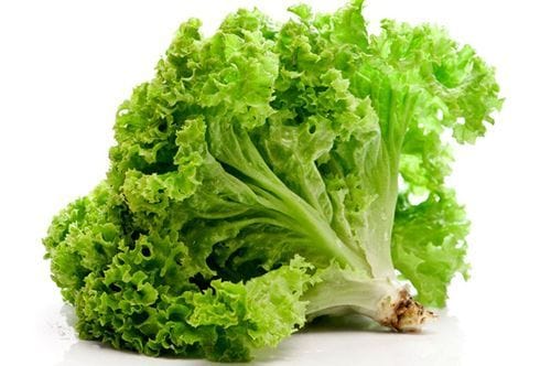 Urban Plants Buy Lettuce Lollo Rosso seed