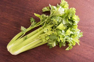 Urban Plants Celery seeds