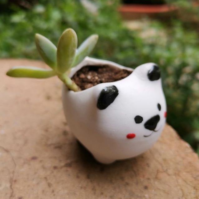 Urban Plants D Animal Flower Pot