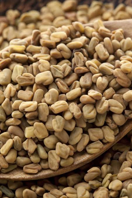Urban Plants Fenugreek seeds (methi)