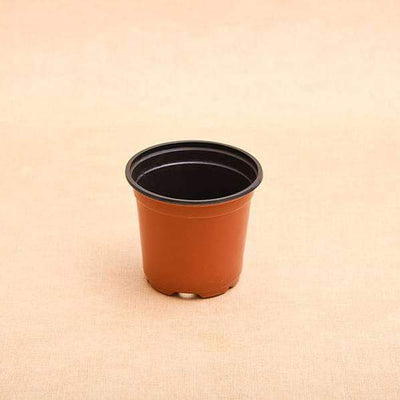 Urban Plants plate Buy 4 inch (10 cm) Round Plastic Pot (set of 20)