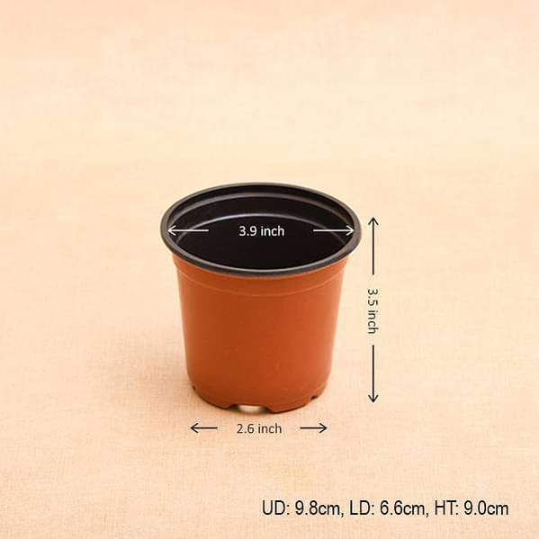 Urban Plants plate Buy 4 inch (10 cm) Round Plastic Pot (set of 20)