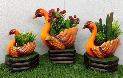 Urban Plants Pots & Planters Buy Polyresin Duck Planter - Set of 3 Buy Polyresin Duck Planter - Set of 3-Urban Plants