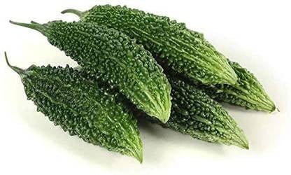 Bittergourd Kohinoor (HY) - Urban Plants™