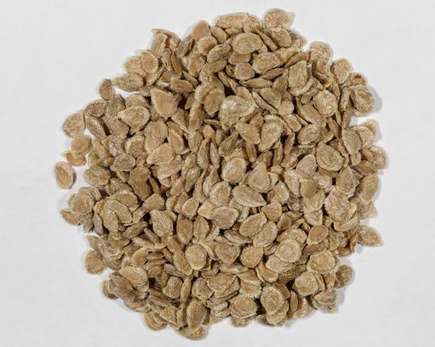 Urban Plants Seeds Buy Tomato seeds