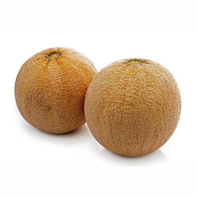 Urban Plants seeds, Musk Melon Indam MH38 Musk Melon Indam MH38