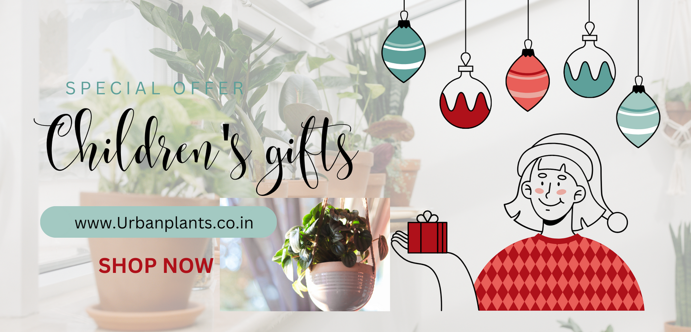 Childrens-day-Gifts-Plants-Urban-Plants