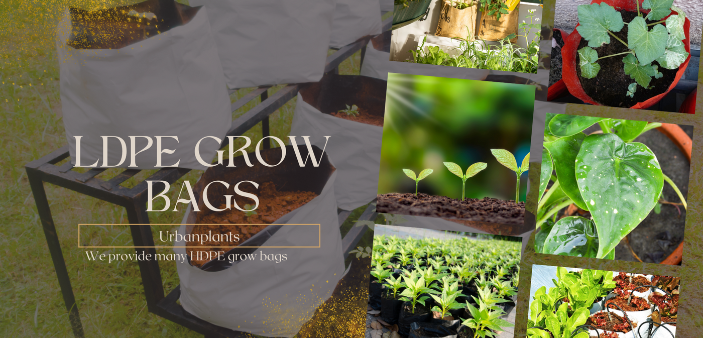 Lpde-grow-bags-Urban-Plants
