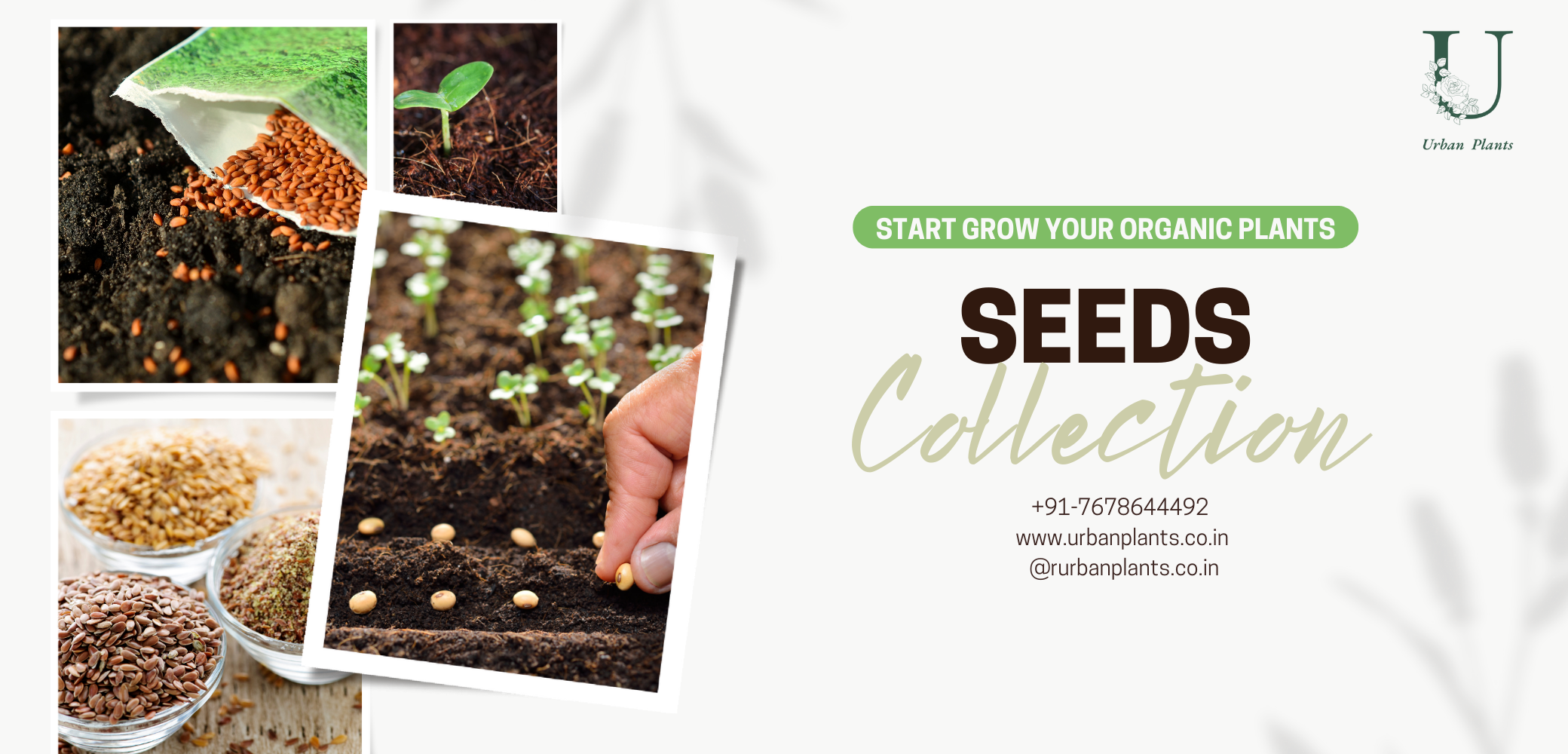 Buy Plant seeds Urban Plants Urban Plants™