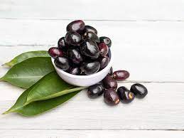 Partner Nursery Malaysian Black Jamun Malaysian Black Jamun-urban Plants