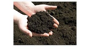 2000mrGarden Compost Cow Dung Compost - 10 Kg Cow Dung Compost Online 