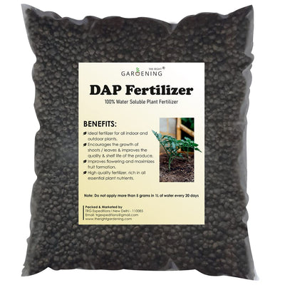 2000mrGarden Fertilizer DAP 500gm Fertilizer Buy DAP Fertilizer Online 