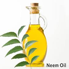 2000mrGarden Liquid Neem Oil – 100ml Buy Neem Oil Online 