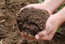 AGRO LIFESTYLES Compost Cow Dung Compost Buy Cow Dung Compost Online 