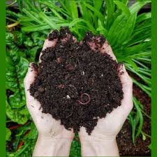 AGRO LIFESTYLES Compost Organic Vermicompost - 5 Kg Buy Organic Vermicompost Online 