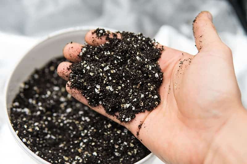 AGRO LIFESTYLES Fertilizer Soil Mix Vermiculite 200 gm Buy Soil Mix Vermiculite 200 gm Online 