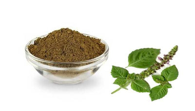 AGRO LIFESTYLES Herbal Vana Tulsi powder Buy Vana Tulsi Powder Online 