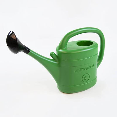 Ash collection Plastic one Plastic Watering Can - Set of 2 Buy Plastic Watering Can for Garden Online 