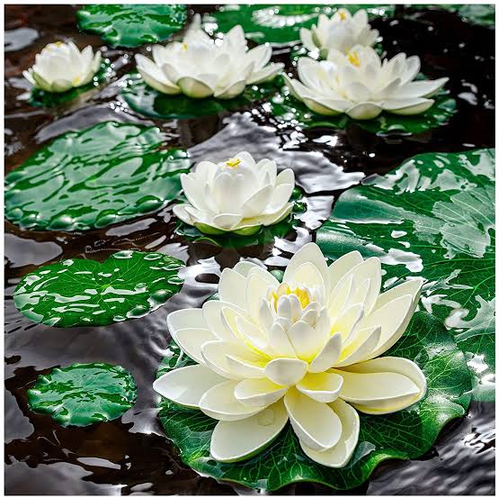 Avyaan’s green earth Diwali decor Artificial Floating Foam Lotus Flower (Set of 2) Buy Artificial Floating Lotus Online