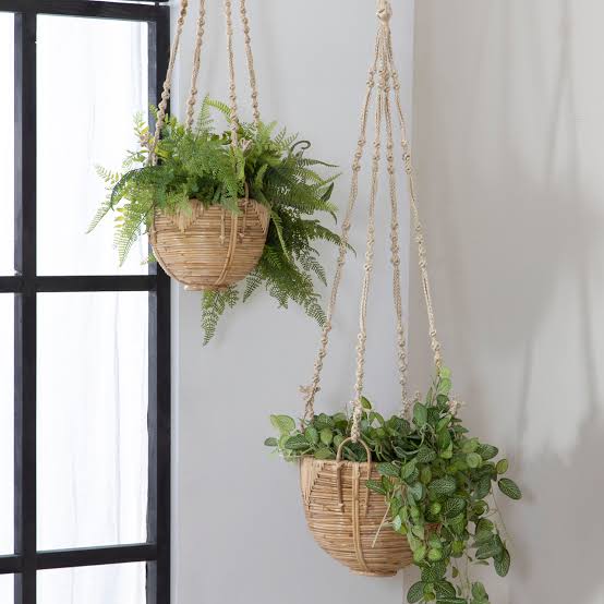 Avyaan’s green earth Pots Euro Hanging Baskets Buy Hanging Planters Online from Urban Plants 