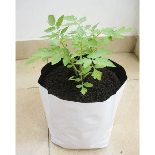 AyurTree LDPE virgin white Growbags - LDPE Buy White Growbags - LDPE Combos Online from Urban Plants 