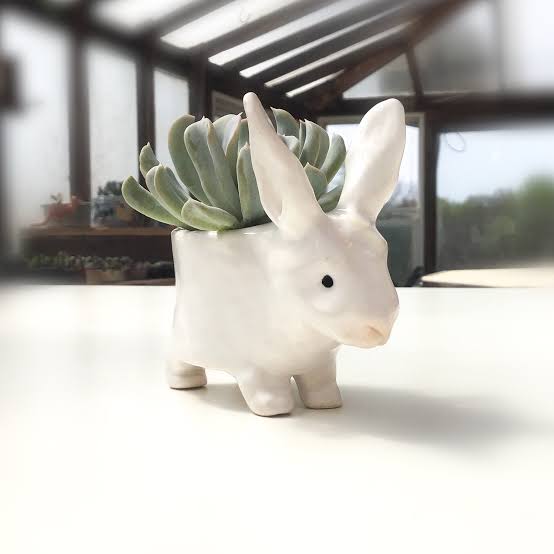 Cera Artisan Ceramic Pot Ceramic Rabbit Planter Ceramic Rabbit Pot (White) Buy Rabbit Shape Ceramic Pots Online from Urban Plants 