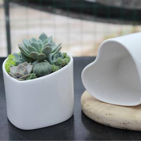 Cera Artisan Ceramic Pot White Ceramic Heart shaped planter White Ceramic Heart Shaped Pot Buy White Ceramic Heart Shaped Pots from Urban Plants 