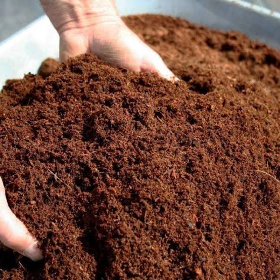 Creative Greens Enriched cocopeat Organic Enriched Cocopeat - 5 Kg Buy Organic Enriched Cocopeat Online from Urban Plants 