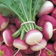 FernsFly Vegetable seeds Purple Turnip/Shalgam Vegetable Seeds Buy Purple Turnip/Shalgam Vegetable Seed Online 