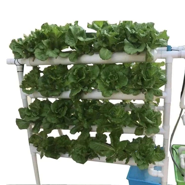 Futurecultivator-Hydroponics-Hydroponics-HomeKit 18-Urban-Plants