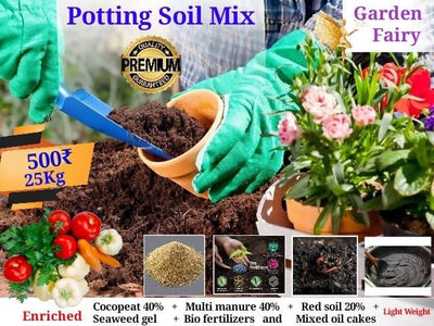 Green Homes Potting soil Enriched Potting Mix
