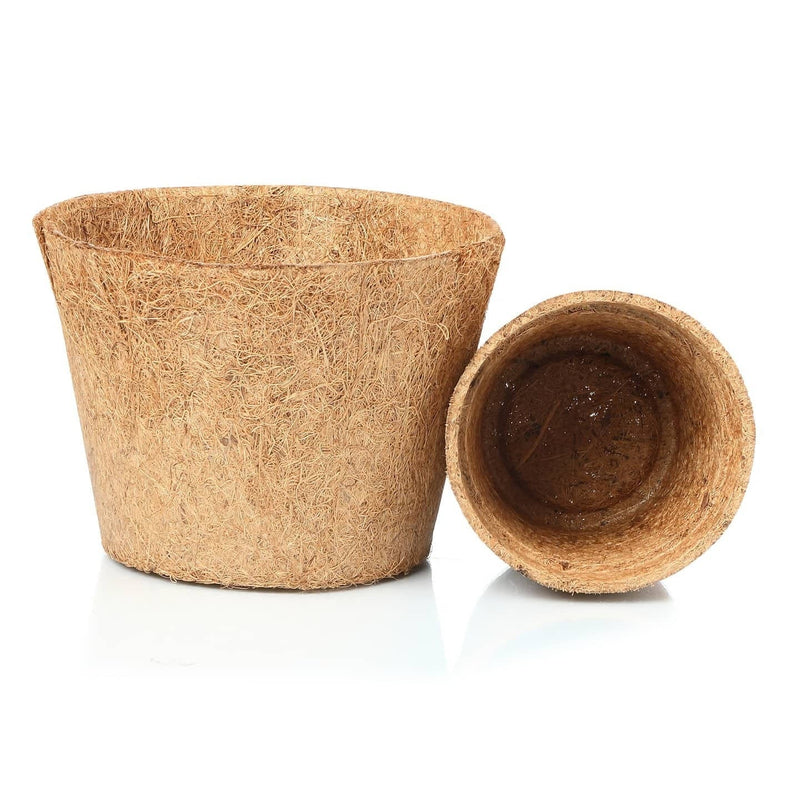 Home Square Roots Coco coir planters Coir pots 6" (set of 6)