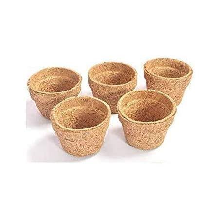 Home Square Roots Coco coir planters Coir pots 6" (set of 6)