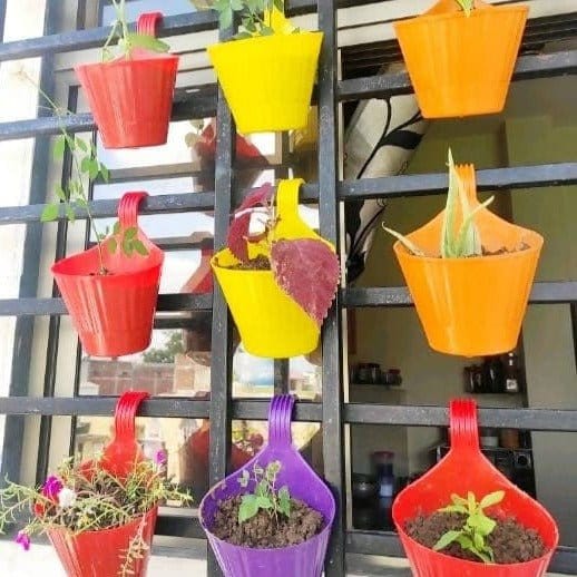 Jas Digital Patio & Garden Plastic Hook Hanging Pot 29*18*10 cms, 10 pcs, Multicolor ( Free Shipping)
