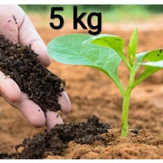 Krishna Organics and Biochemicals Organic Fertilizers Vermicompost 5kg Buy Vermicompost 5kg