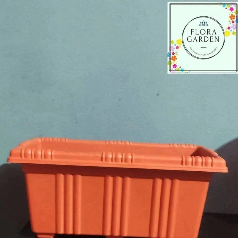 Kunwar Rajan Singh Pot Plastic pot (set of 5) Buy Plastic pot (set of 5) Online - Urban plants
