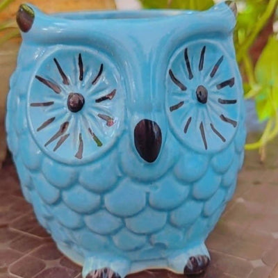 Maa shakumbhari Devi nursery Owl shape ceramic pot Ceramic pot