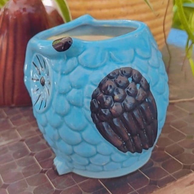 Maa shakumbhari Devi nursery Owl shape ceramic pot Ceramic pot